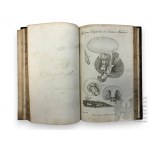 1812, Regno Unito, Londra - Robert Thornton John, Elements Of Botany, Part I : Classification, edizione dell'autore.