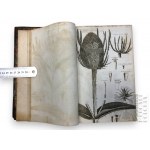 1812, Regno Unito, Londra - Robert Thornton John, Elements Of Botany, Part I : Classification, edizione dell'autore.