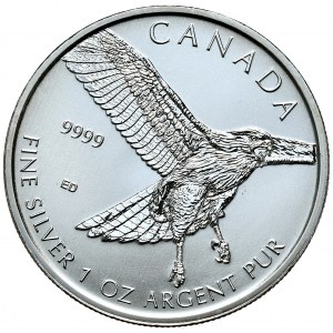 Kanada, 5 Dolarów, 2015r., Jastrząb, 1oz. Ag 999