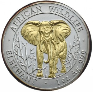 Somalia, 1000 Shillings, 2004, Elephant, Rarity