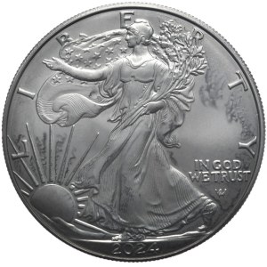USA, 1 Dolar, 2024r., 1 oz., Ruten