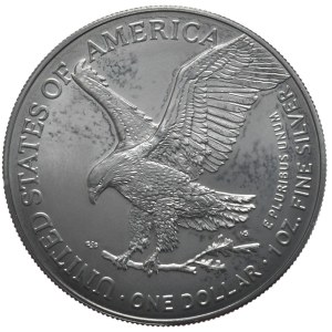 USA, 1 Dolar, 2024r., 1 oz., Ruten