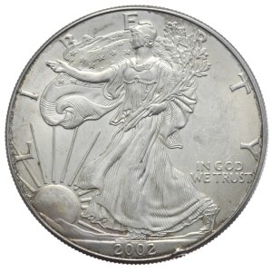 USA, 1 Dolar, 2002r., 1 oz.