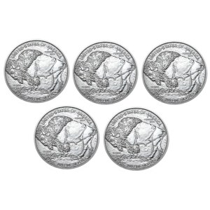 USA, bizon, 1 oz, Ag 999, BU, 5 szt.