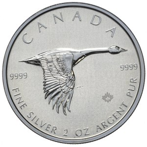 Kanada, 10 dolarów 2020, Gęś, 2 oz.