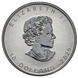 Kanada, 10 dolarów 2020, Gęś, 2 oz.