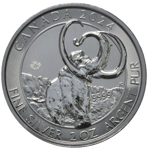 Kanada, 10 Dolarów, 2024r., 2oz.