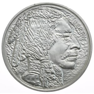 USA, bizon, 1 oz, Srebro 999 (Dead Indian)