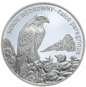Poland, 20 gold, 2008, Falcon