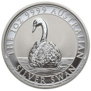 Australia, Łabędź, 2023r.