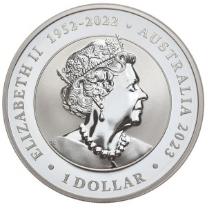 Australia, Łabędź, 2023r.