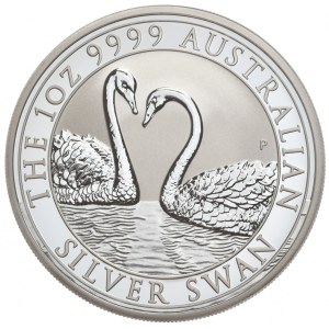 Australia, Łabędź, 2022r.