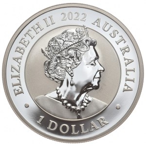 Australia, Łabędź, 2022r.