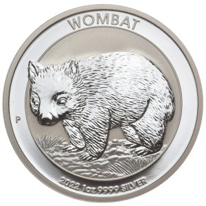 Australia, Wombat, 2022r.