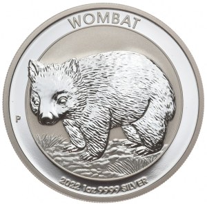 Australia, Wombat, 2022.