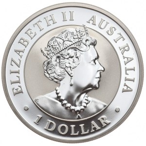 Australia, Wombat, 2022r.