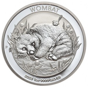 Australia, Wombat, 2023r.