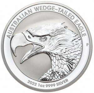 Australia, Eagle, 2022.