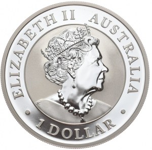 Australia, Eagle, 2022.