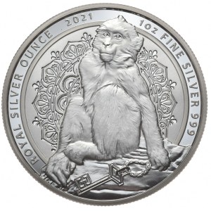 Gibraltar, Magot, 2021r.