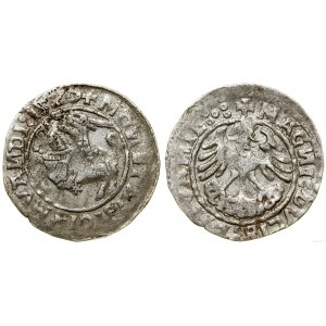 Poland, half-penny, 1520, Vilnius