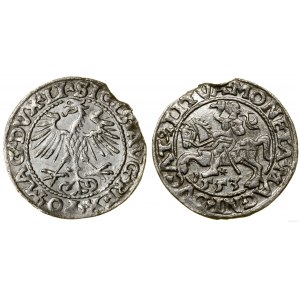 Poland, half-penny, 1553, Vilnius