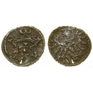 Polsko, denár, 1554, Gdaňsk