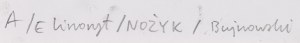 Rafał Bujnowski (ur. 1974, Wadowice), 