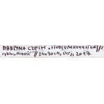 Martyna Czech (ur. 1990, Tarnów), Studium kłamstwa z cyklu Miłość, 2017