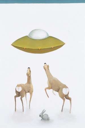 Rafał Zur (ur. 1981, Pszczyna), Bez tytułu, 2006