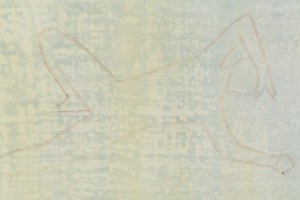 Róża Litwa (ur. 1982), Człowiek spadający, 2012