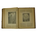 OGRODNIK czasopismo, kompletny rocznik 1930 w sumie 24 numery