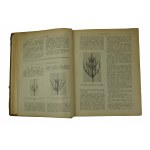 OGRODNIK czasopismo, kompletny rocznik 1930 w sumie 24 numery