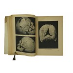 [KATYŃ] Amtliches Material zum Massenmord von Katyn, Berlin 1943r.