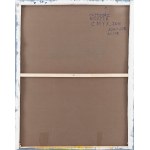 Grzegorz Kozera (ur. 1983, Warszawa), CMYK, 2010