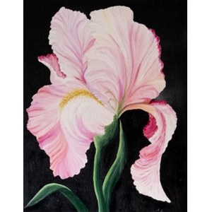 Agnieszka Lewandowska, Pink Flower