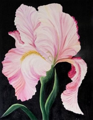 Agnieszka Lewandowska, Pink Flower