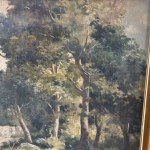 ANONIMO, Landscape