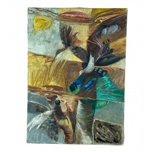 ANONIMO, Birds