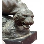 Merculiano, Panther - Merculiano