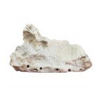 SCUOLA ITALIANA, Reclining Woman