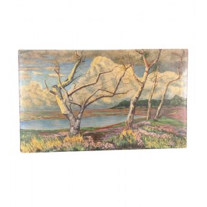 UNIDENTIFIED SIGNATURE, Landscape with trees