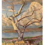 UNIDENTIFIED SIGNATURE, Landscape with trees