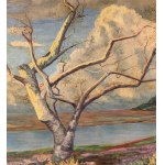 UNIDENTIFIED SIGNATURE, Landscape with trees