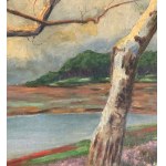 UNIDENTIFIED SIGNATURE, Landscape with trees