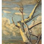 UNIDENTIFIED SIGNATURE, Landscape with trees