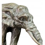 Elephants