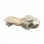 Pair of lions