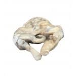 Pair of lions