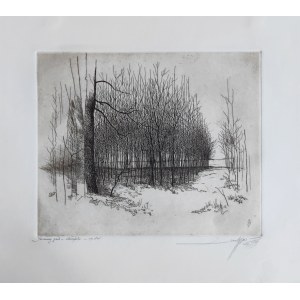 Leszek Rózga (1924-2015), Gaik d'autunno, 1979
